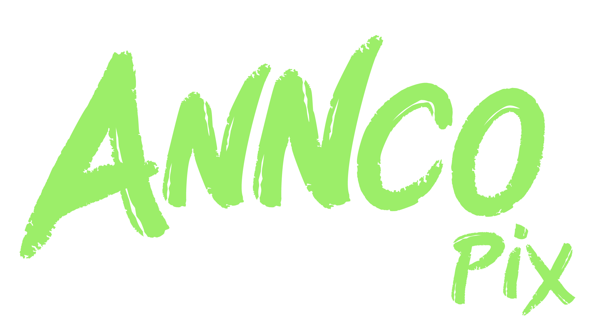 logo de Anncopix